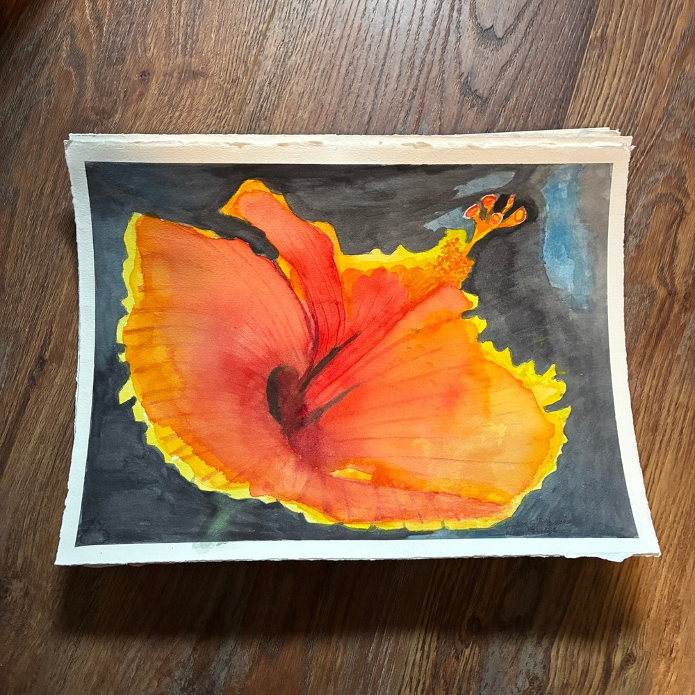 Yellow Red Hibiscus Warren C Plauche Original Watercolor Painting 11x15